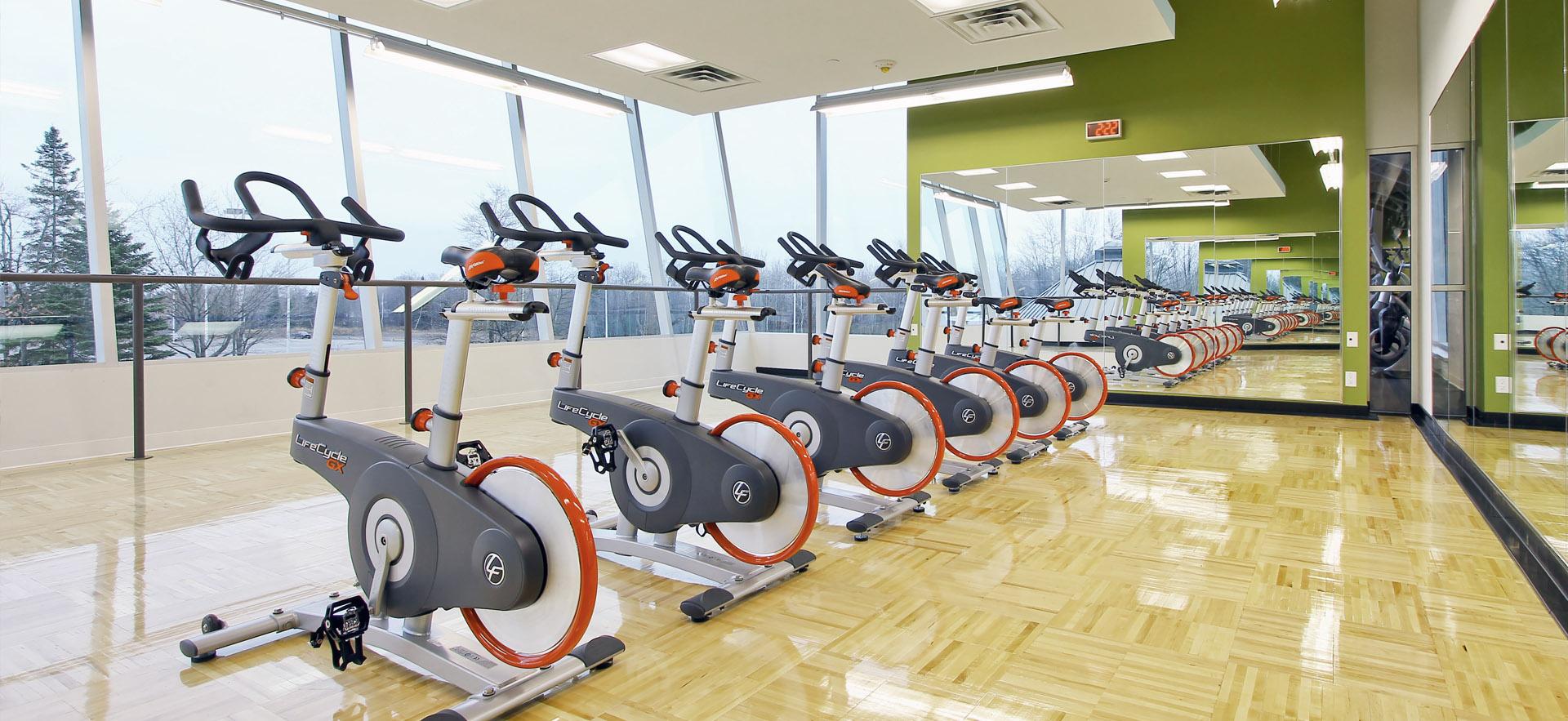 Row of bikes in fitness room