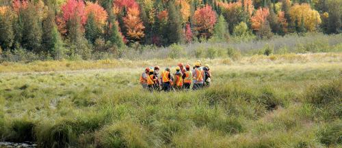 A class in Natural Environment Technician - Conservation and Management gather in a field in nature to conduct a class. 